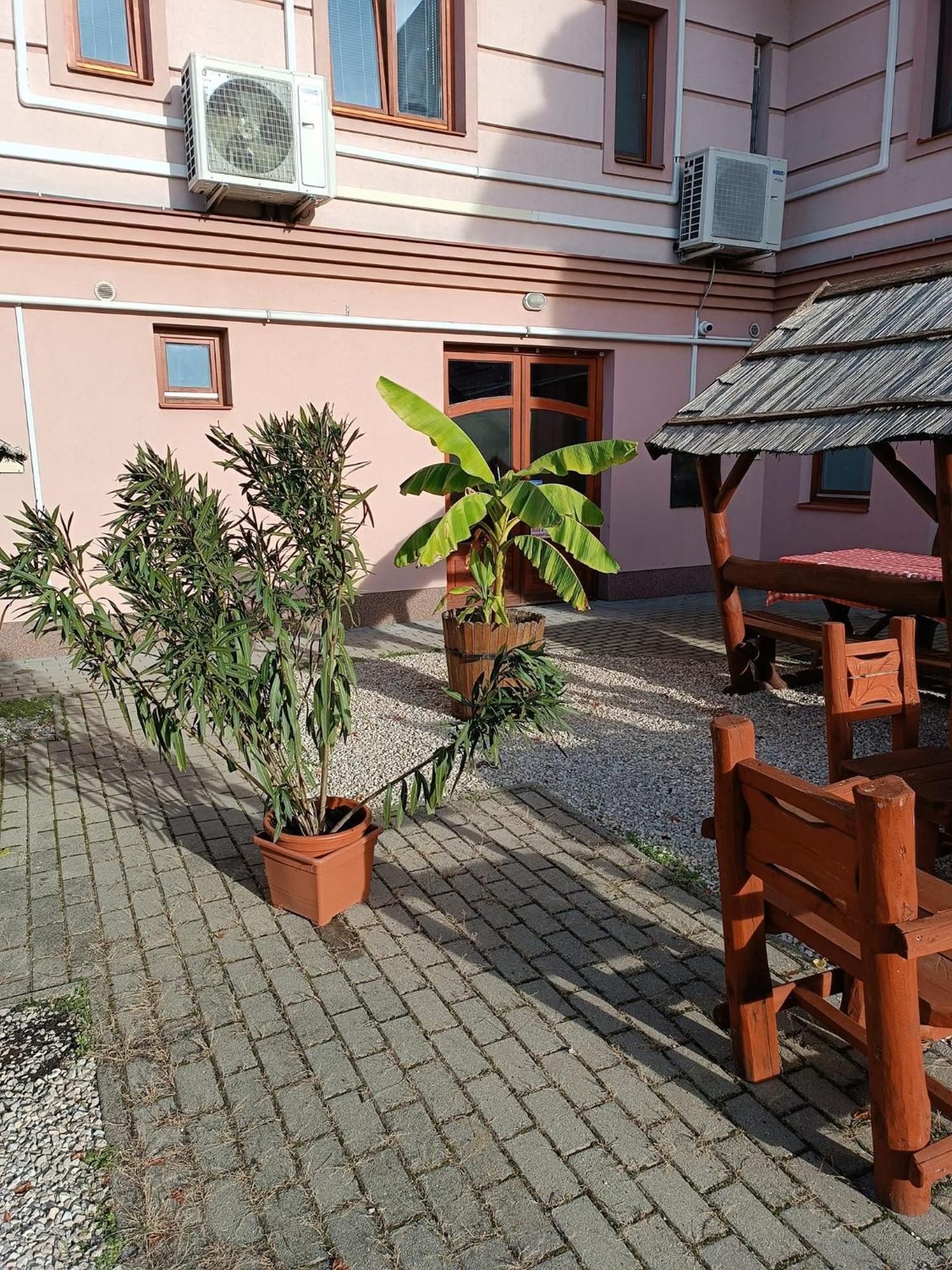 לינה וארוחת בוקר Kiskunfélegyháza Malom Panzio מראה חיצוני תמונה